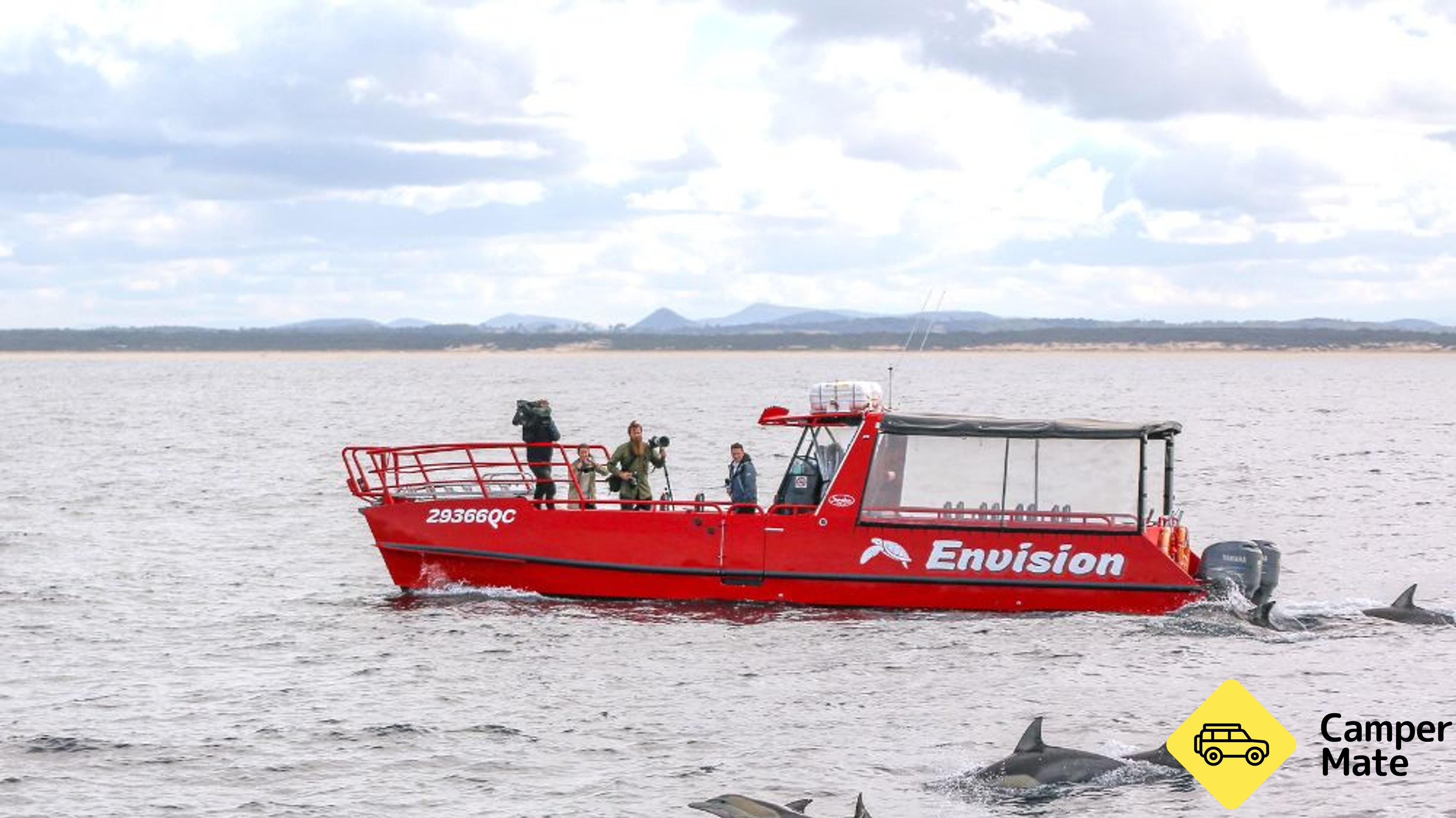 Port Stephens Dolphin Watch Cruise