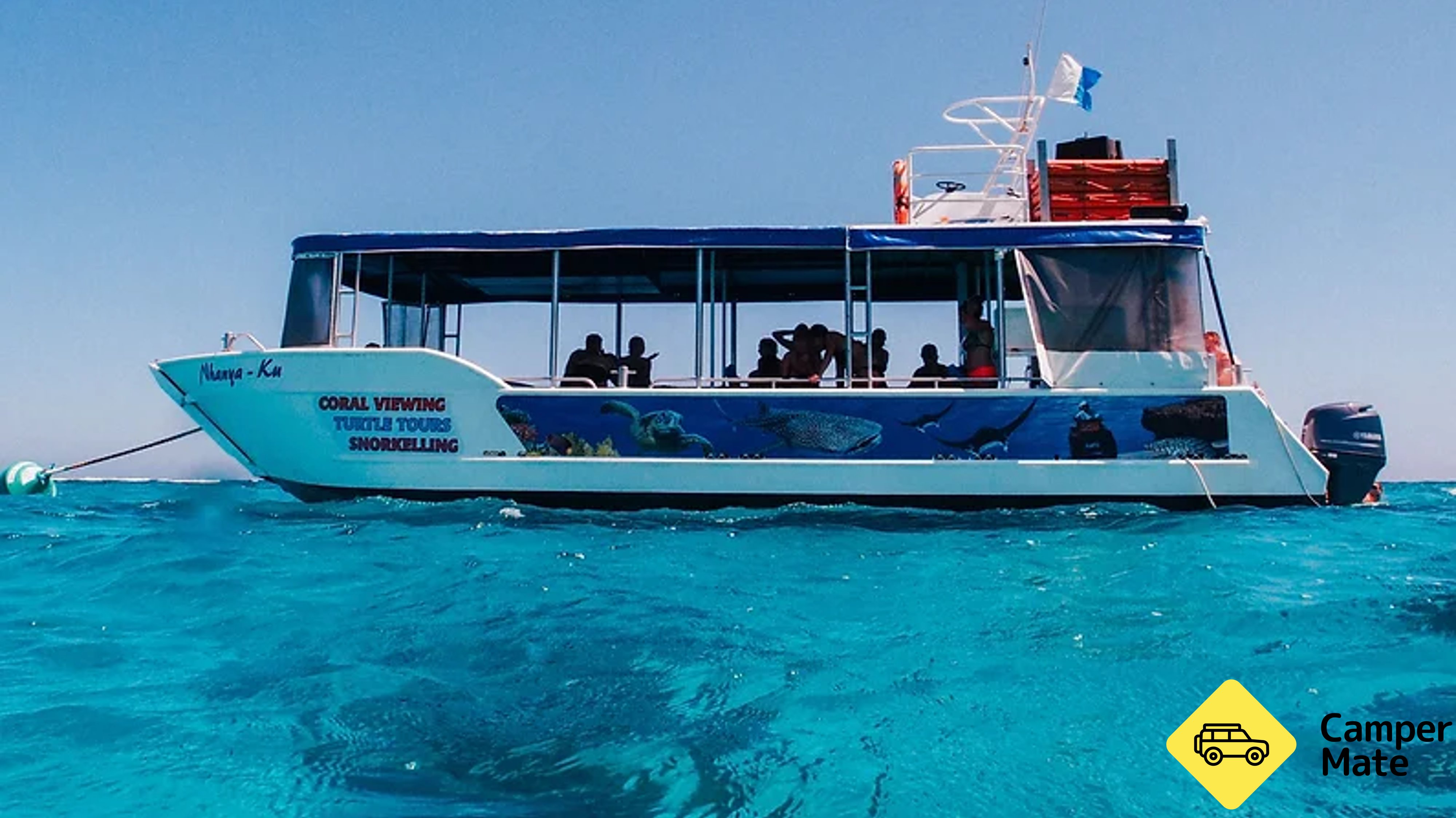 Coral Bay Turtle Tour 