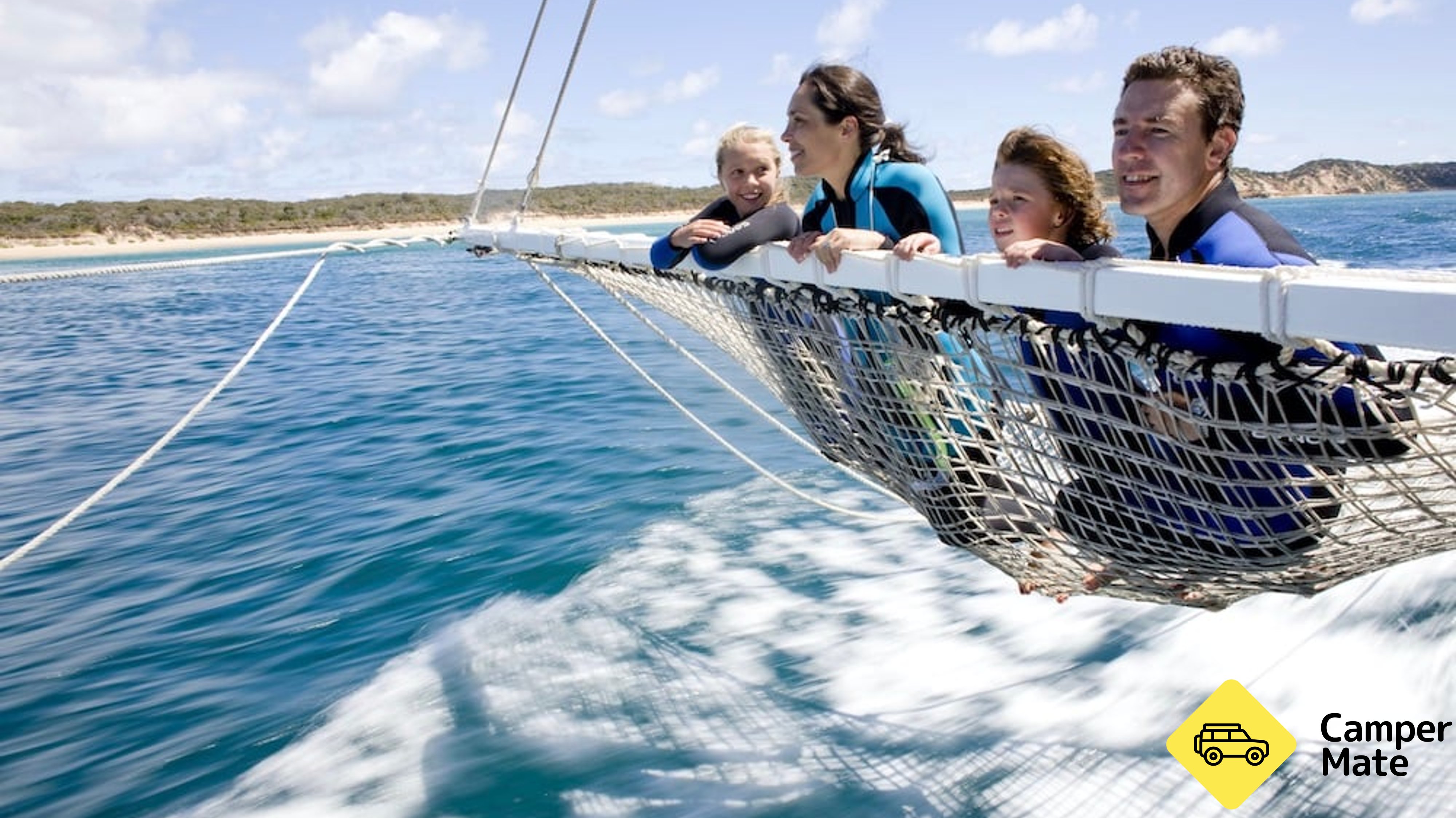 Dolphin and Seal Swim Tour - Queenscliff