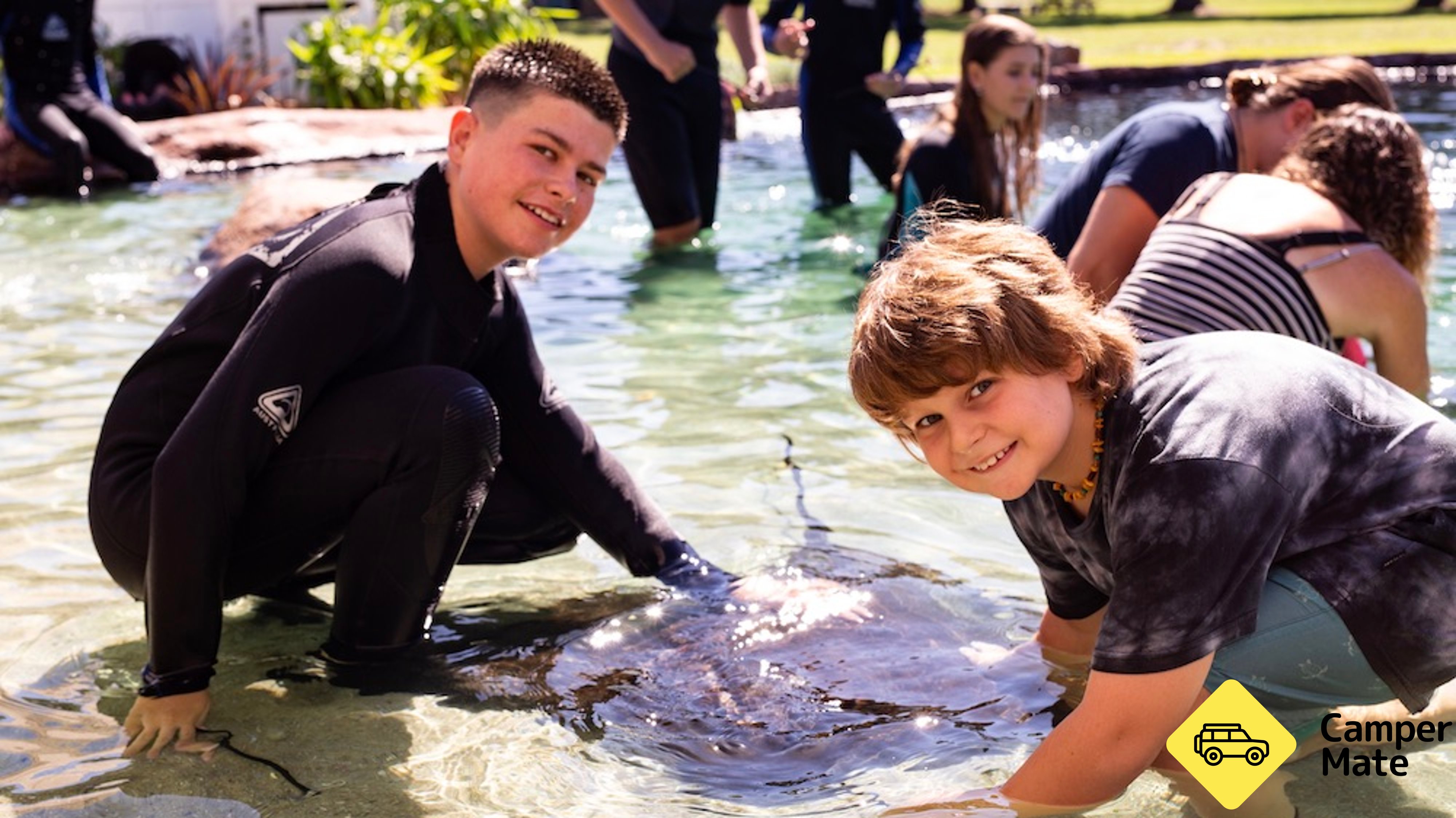 Irukandji Shark and Ray Encounters