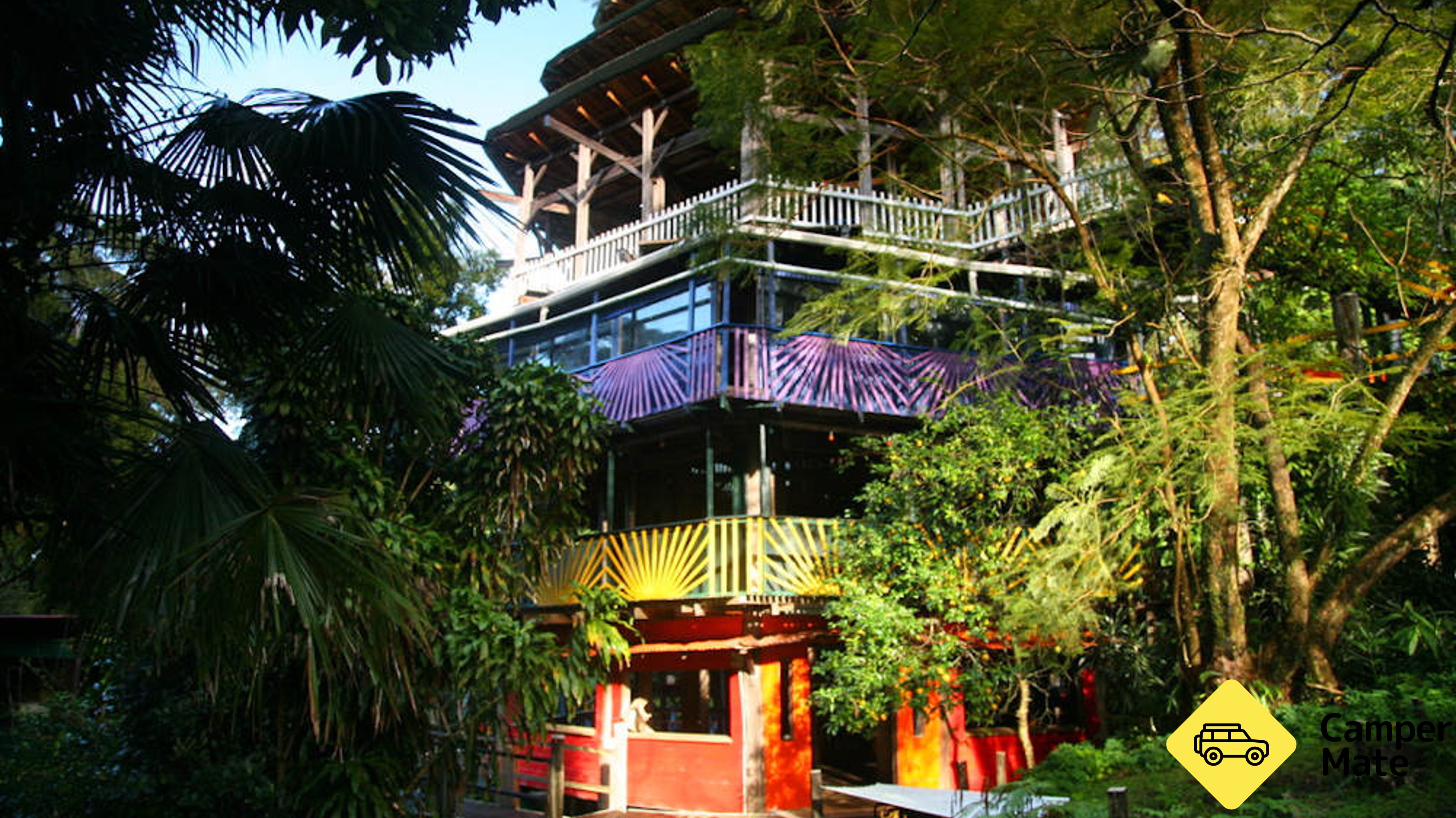 Hinterland Magic and Glow Worm Experience Byron Bay