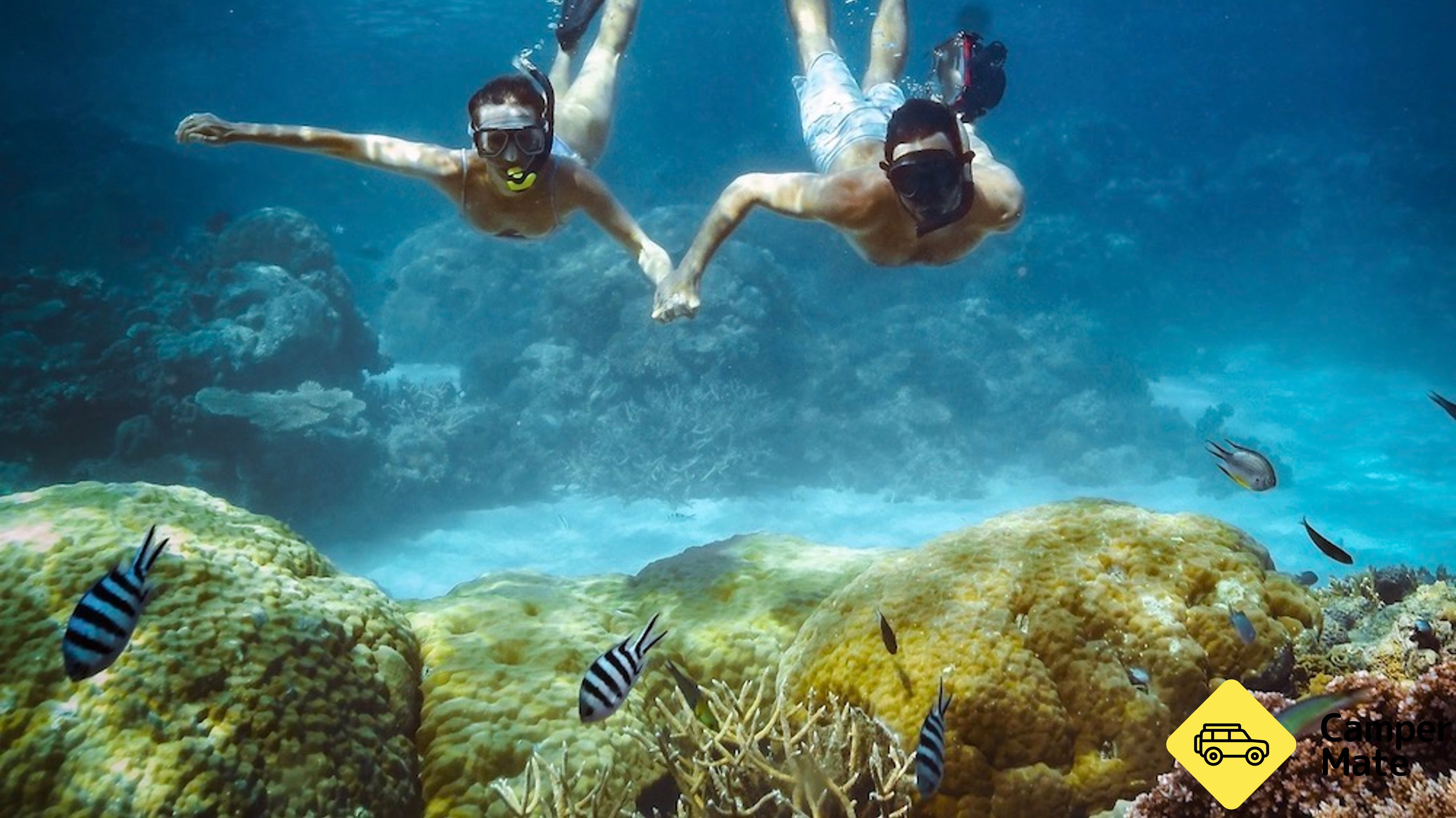 Great Barrier Reef Snorkel and Dive Cruise