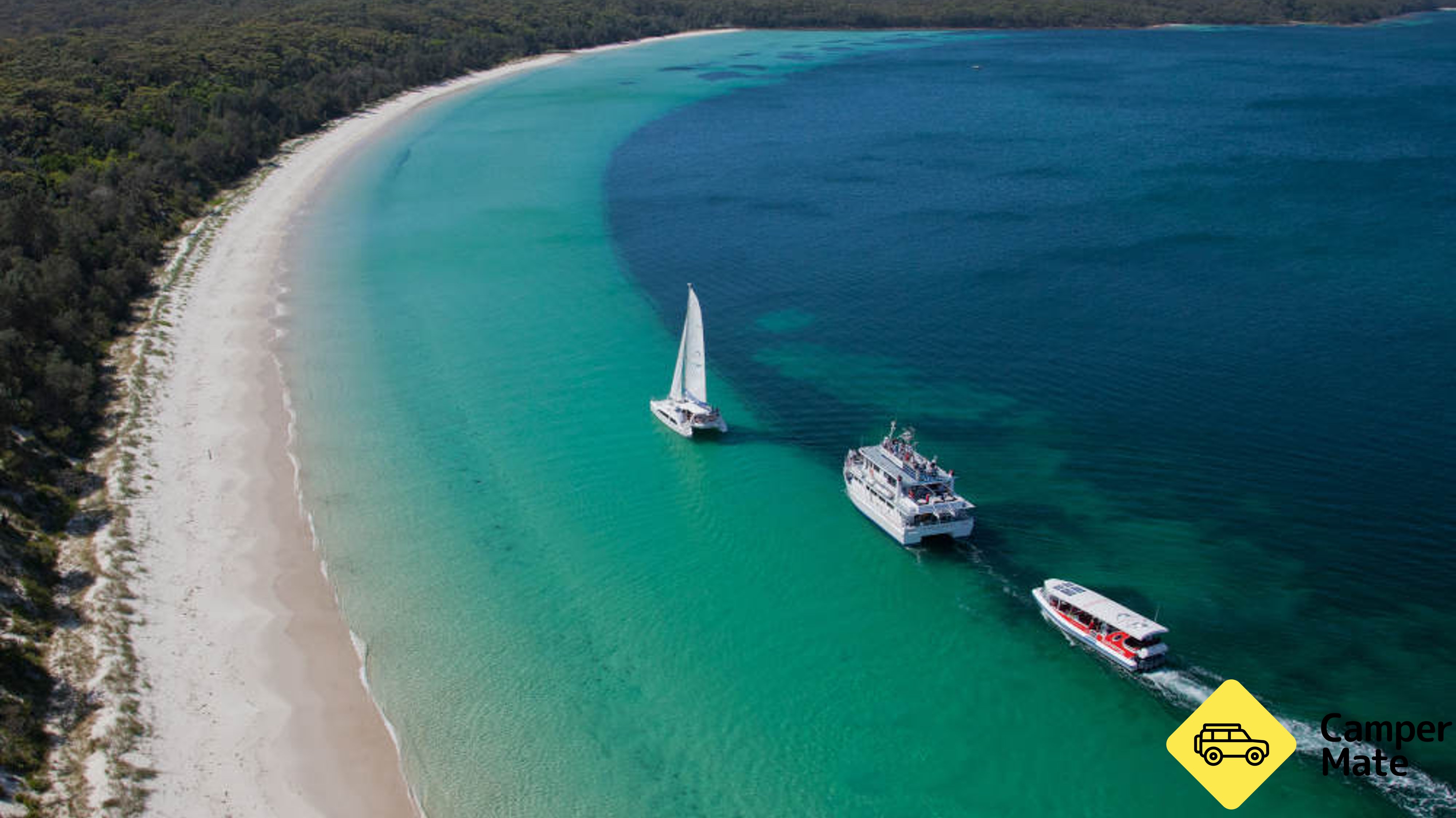 Jervis Bay Dolphin Watching Day Tour from Sydney